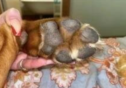 Review by Delaney R.